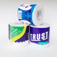 HOLU Plain White Layer wholesale retail Home Hotel  use Hollow tissue  toilet paper